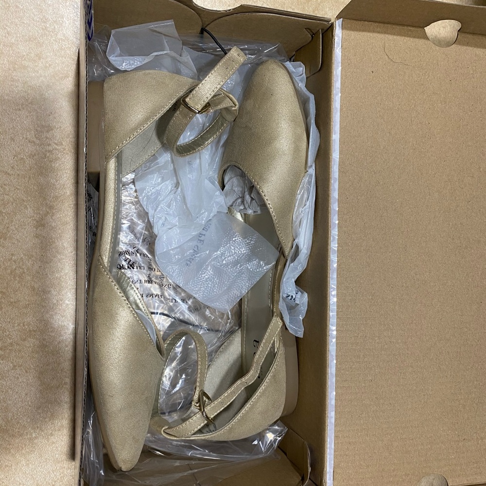 Ana dress flats 7.5